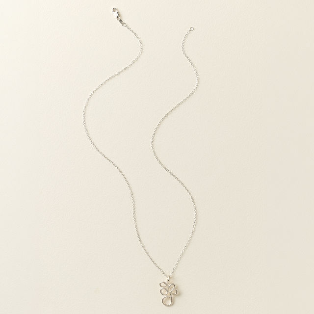 Ever Evolving Necklace