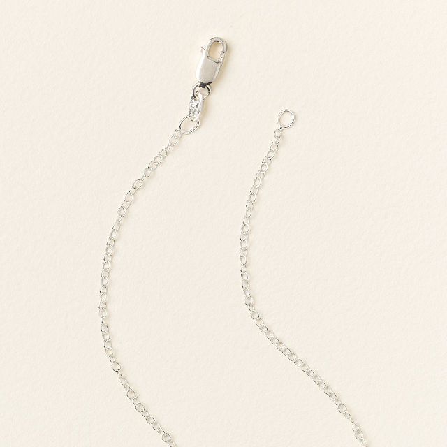 Ever Evolving Necklace
