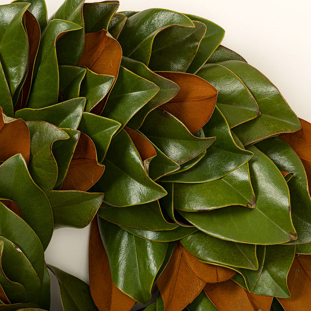 Fresh Magnolia Wreath