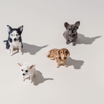 Felt a Best Friend DIY Dog Felting Kit
