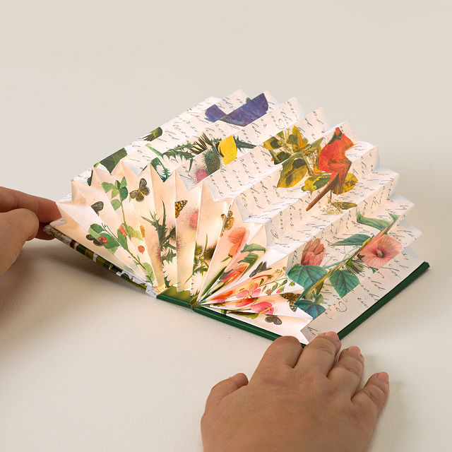 Audubon Birds Accordion Book Light
