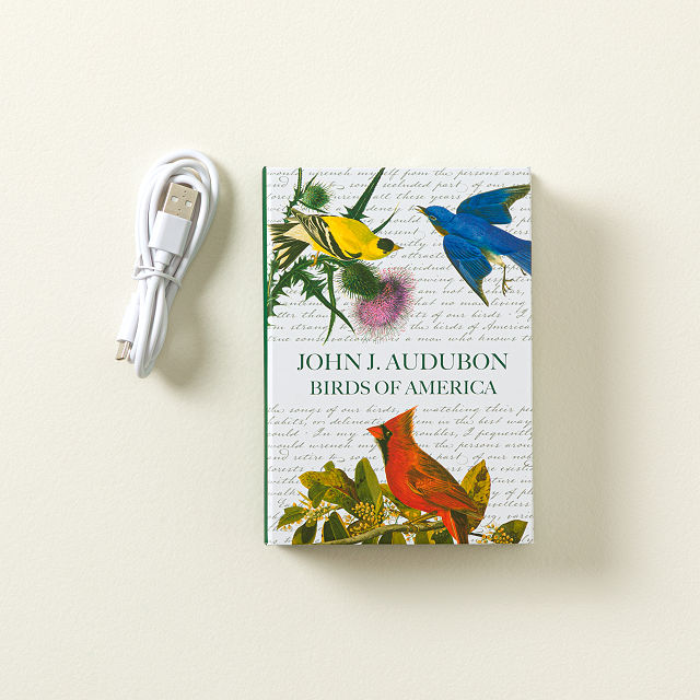Audubon Birds Accordion Book Light