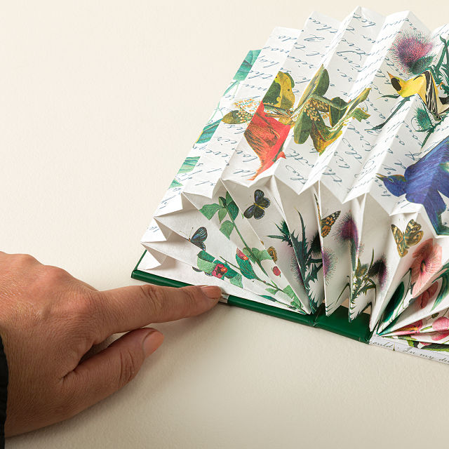 Audubon Birds Accordion Book Light