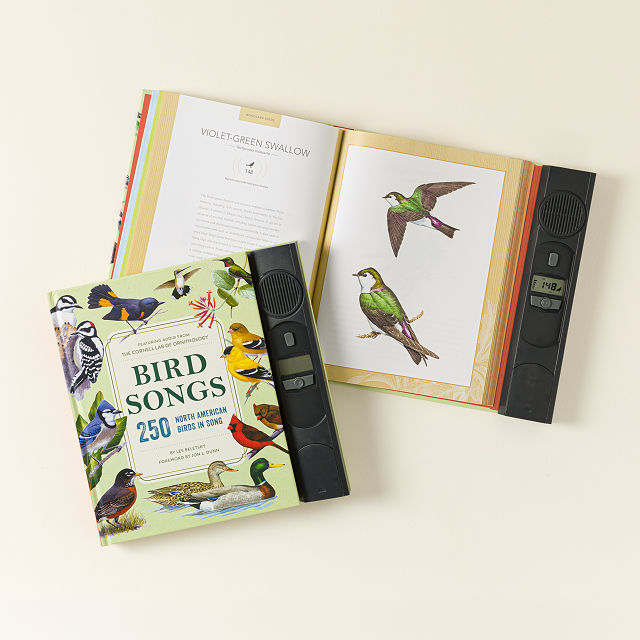 250 North American Birds Sound Book