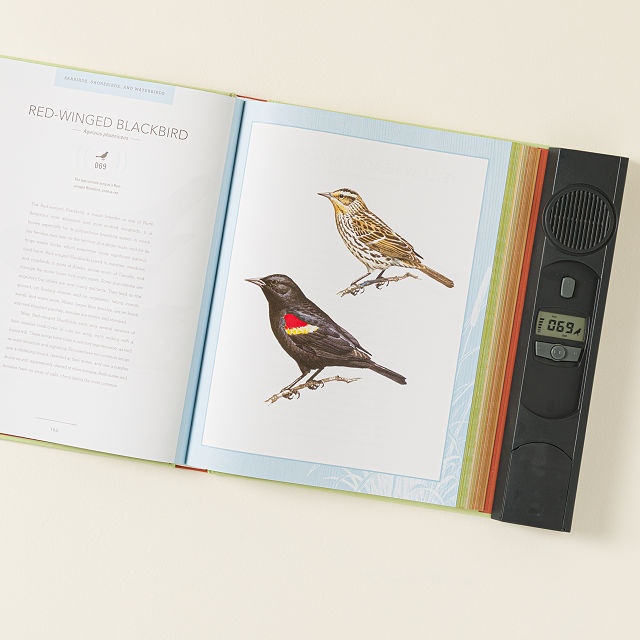 250 North American Birds Sound Book