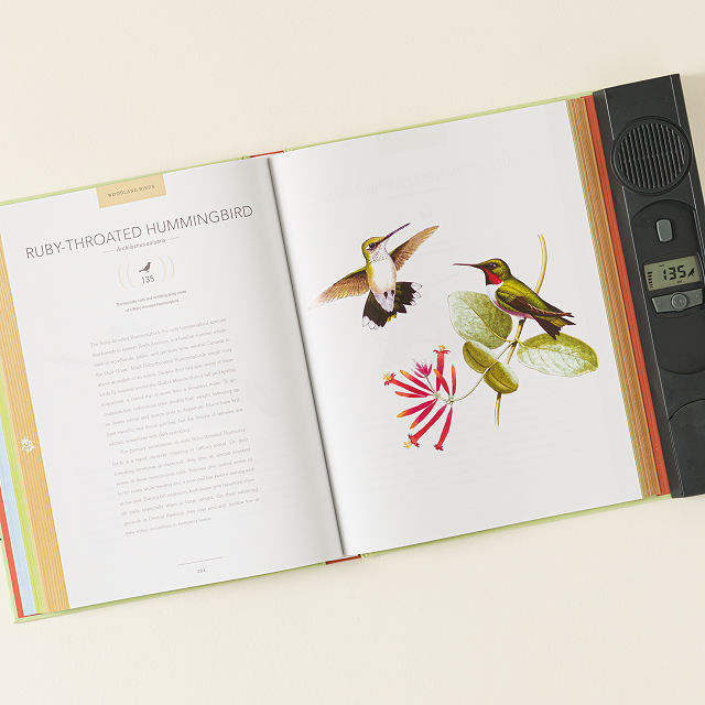250 North American Birds Sound Book