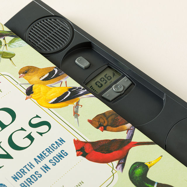 250 North American Birds Sound Book