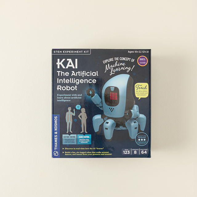Build & Code Your Own AI-Powered Robot