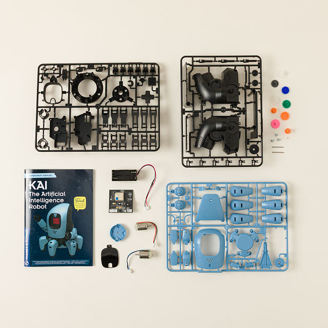 Build & Code Your Own AI-Powered Robot
