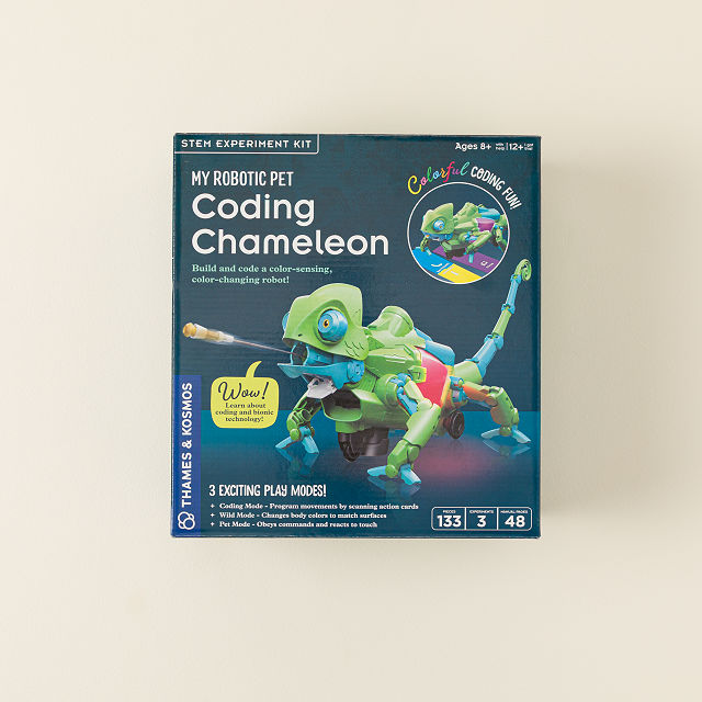 Build & Code Your Own Pet Chameleon