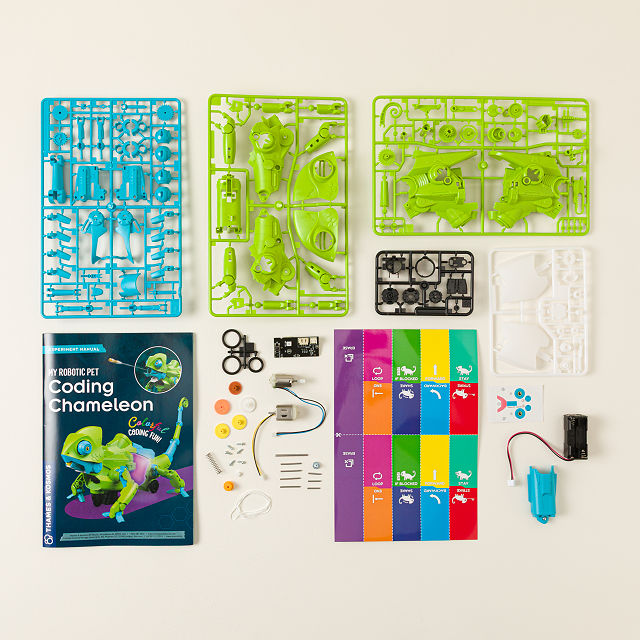 Build & Code Your Own Pet Chameleon