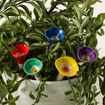 Color Splash Ceramic Bee Drinkers - Set of 5
