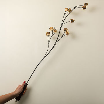 Marshmallow Roasting Branch