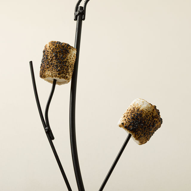 Marshmallow Roasting Branch